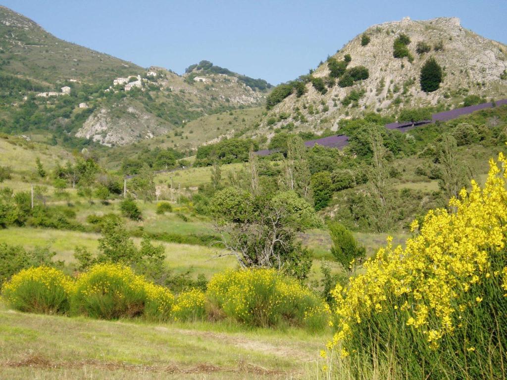 Bed and Breakfast La Maison De Marguerite Montbrun-les-Bains Exterior foto