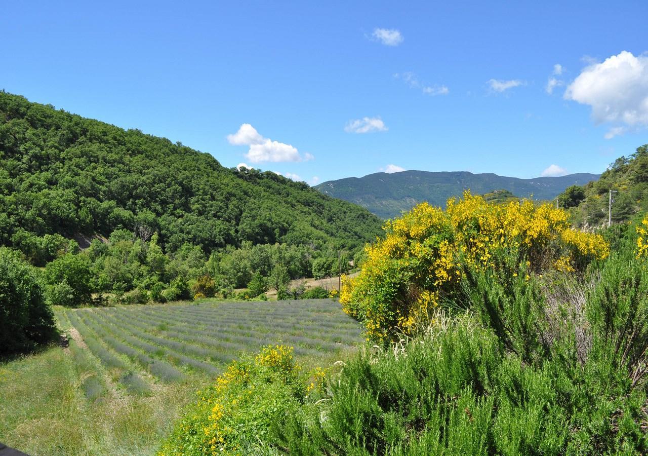 Bed and Breakfast La Maison De Marguerite Montbrun-les-Bains Exterior foto